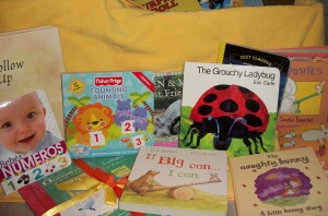 Literacy Partnership, Living Room, Santa Rosa