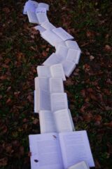 row of open books
